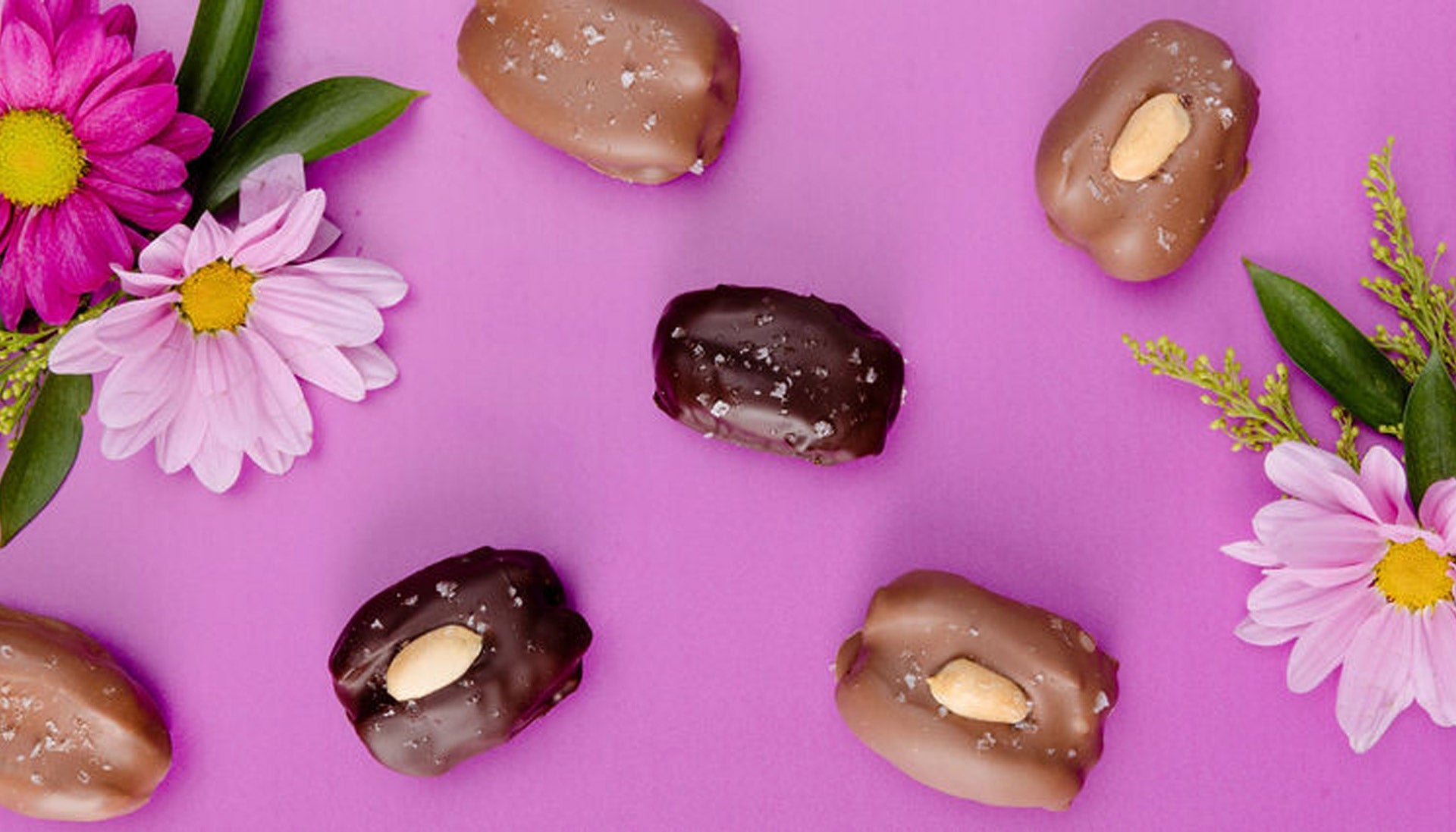 Plant-Based Dessert Snacks:<br><em>Why Clean Ingredient Snacks Make the Best Gifts</em>